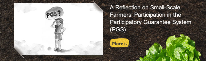 A Reflection on Small-Scale Farmers’ Participation in the Participatory Guarantee System (PGS)