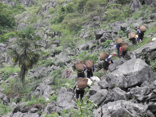 Back-baskets made of bamboo—the bamboo item most used by Mashan villagers