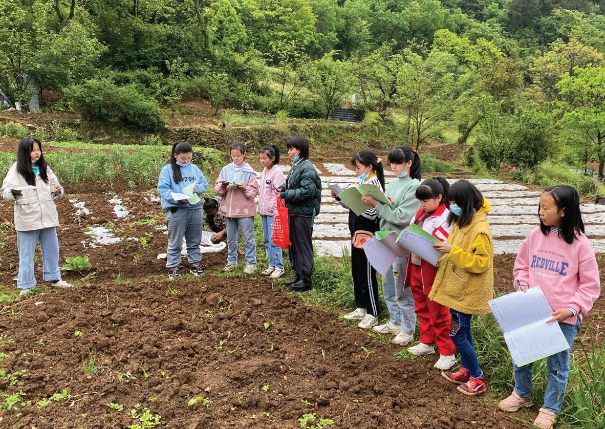 社区融乐 平等参与