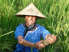 Traditional ecological farming in Liufang Village.