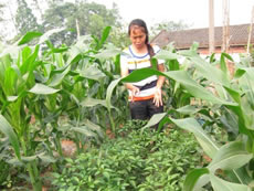 Villagers in Pingshan County, Sichuan Province start eco-farming after taken some training from PCD staff